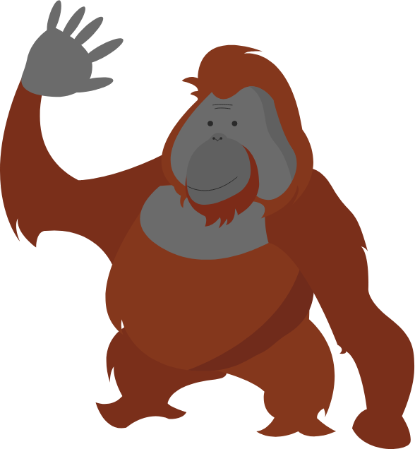 Orangutan Facts - - Cartoon (588x636)