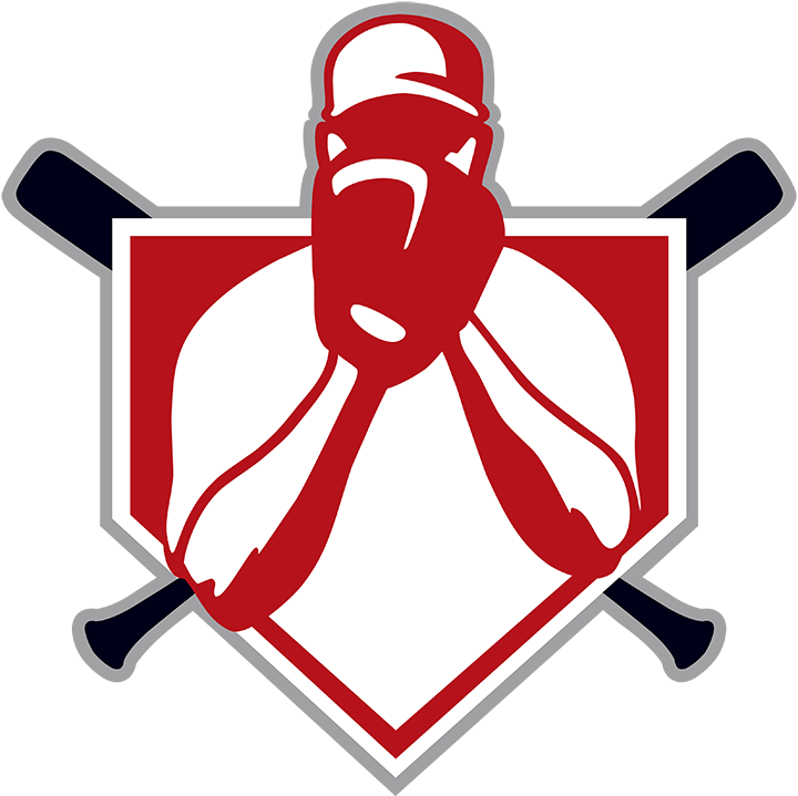 Sons Of Baseball Foundation - Home Plate Png Baseball (720x719)