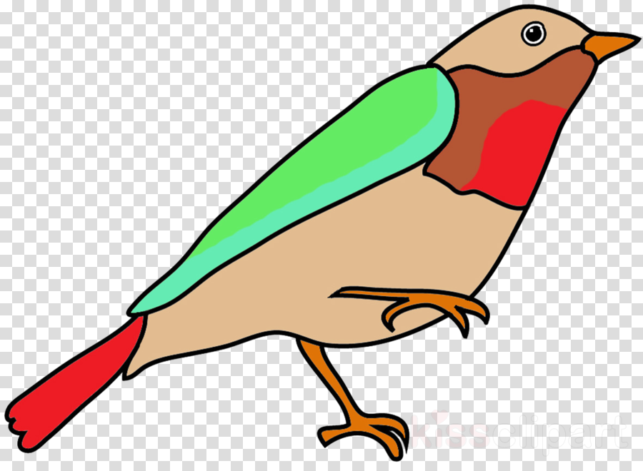Simple Bird Drawing With Color Clipart Bird Drawing - Color Full Drawing Easy (900x660)