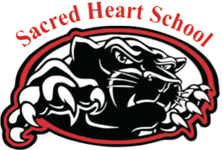 Athletics - Pasquotank County High School Logo (808x513)