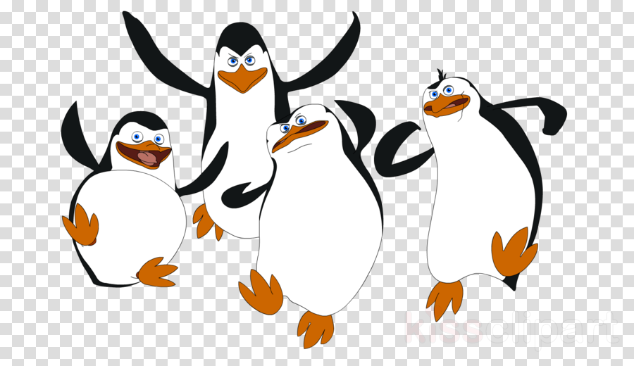 Penguins Of Madagascar Tmnt Clipart Rico Penguin Kowalski - Penguins Of Madagascar Drawing (900x520)