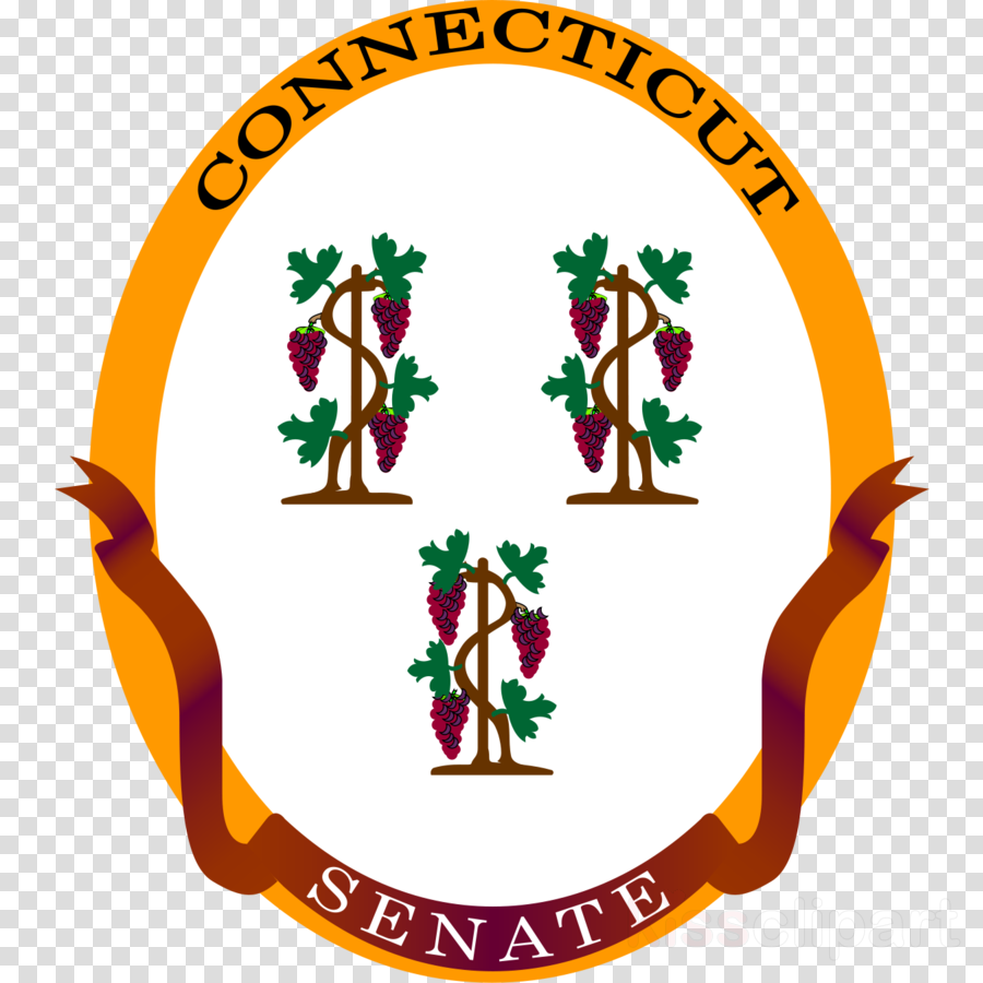 Great Seal Of Connecticut Shower Curtain Clipart Connecticut - Great Seal Of The State Of Connecticut (900x900)