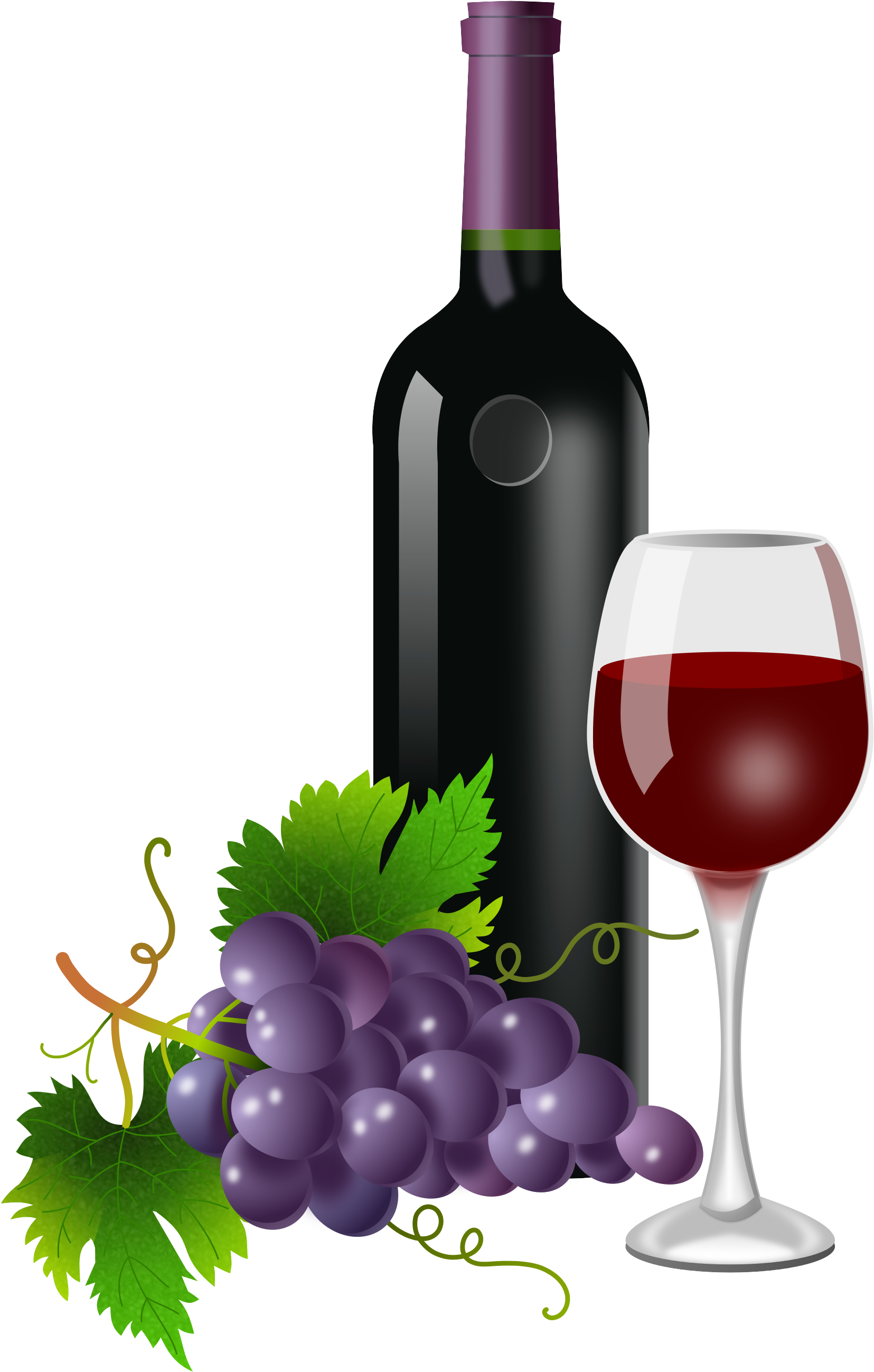 Wine Grape Vine Border - Wine Bottle With Grape (2000x2891)