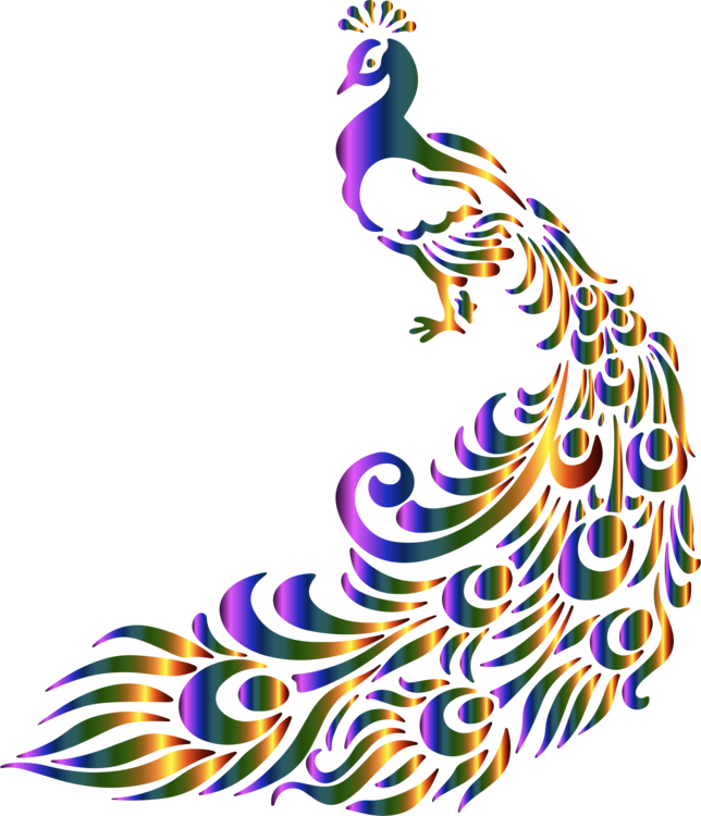 Pavo Drawing Asiatic Peafowl Feather Black And White - Peacock Clip Art (644x750)