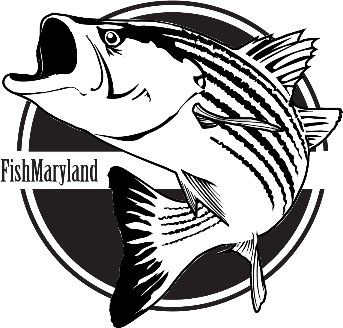 Fishmaryland Is Maryland's Recreational Fishing Award - Fishmaryland Is Maryland's Recreational Fishing Award (1203x1136)