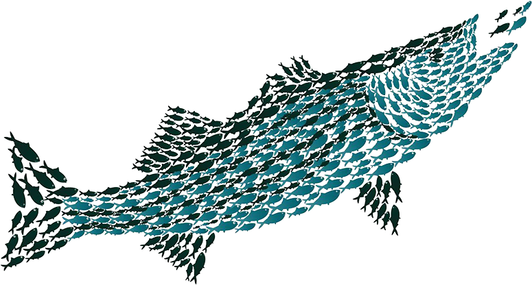 Unknown - Lunge (800x431)