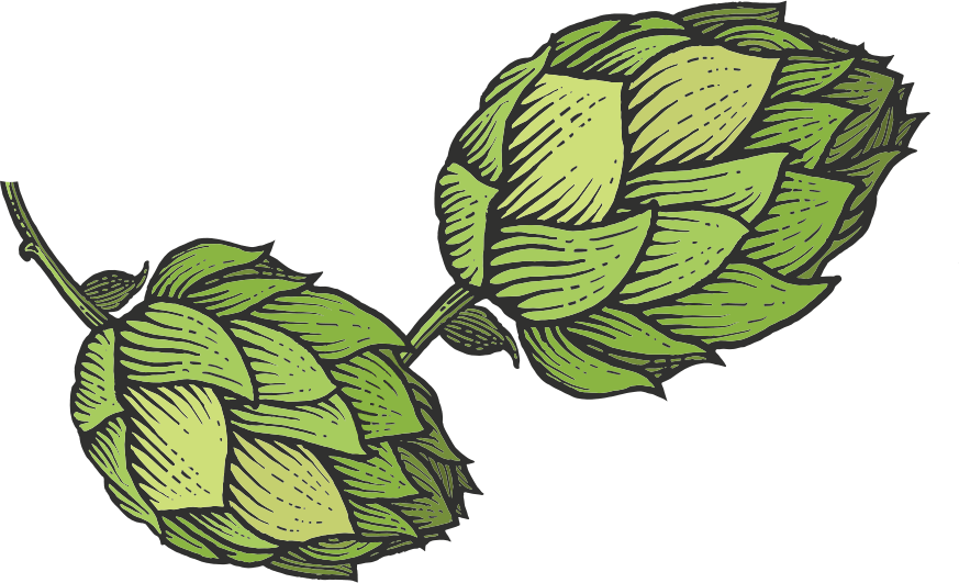 Tastings And Events - Beer Hops Sketch (873x531)