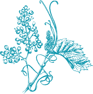 Subscribe For The Latest - Illustration (354x359)