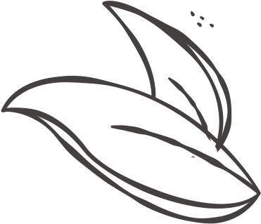 Snacks Organic Dried Mango Picknia - Line Art (393x365)