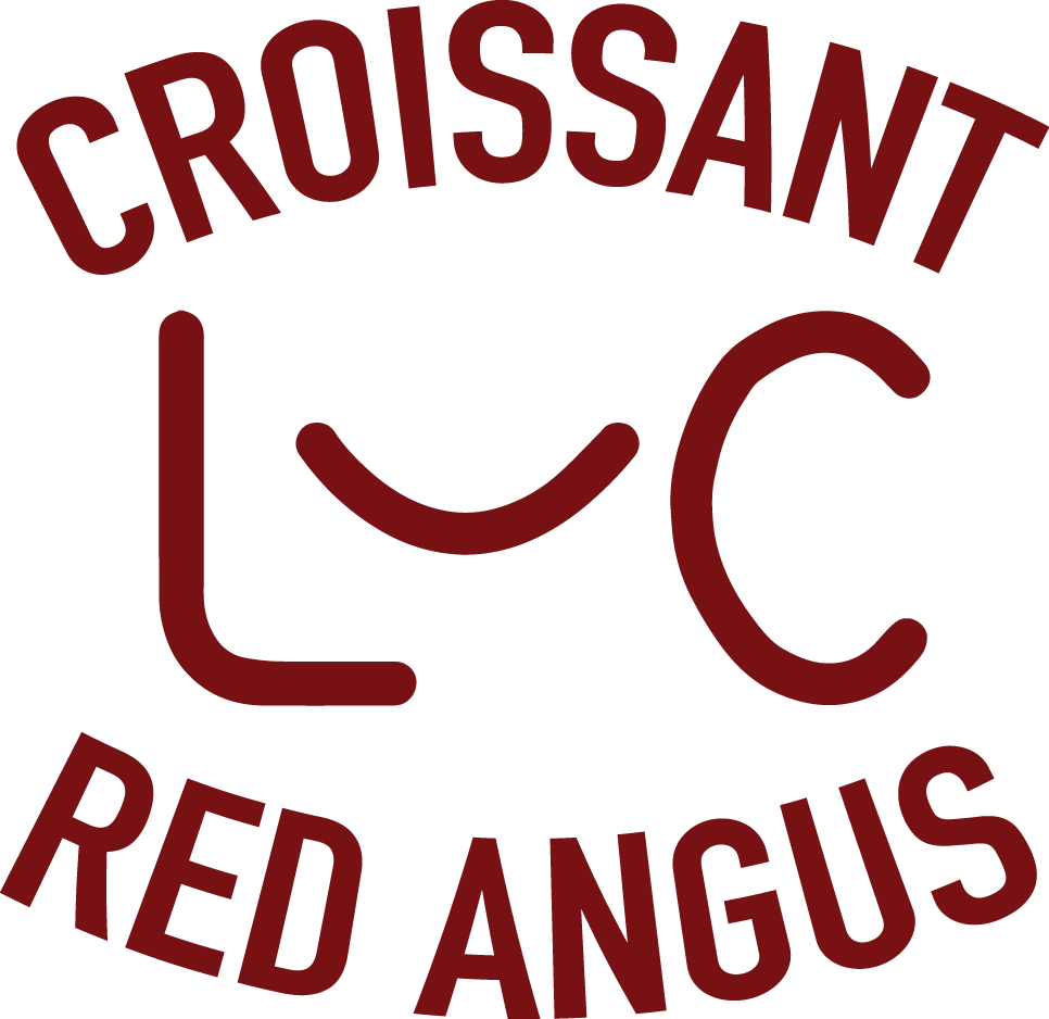 Croissant Logo Jcm Fin Format=1500w - Croissant Logo Jcm Fin Format=1500w (966x938)