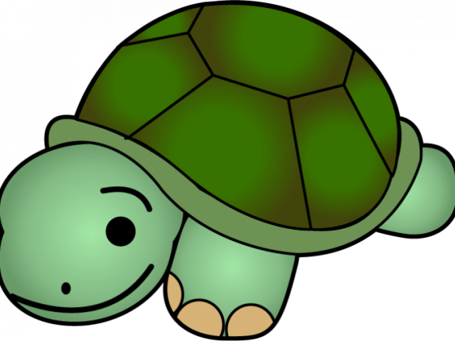 Face Clipart Turtle - Turtle Clipart (640x480)