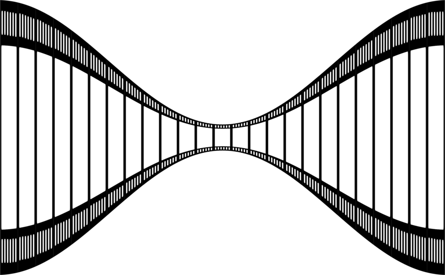 Film Strip Images Png Clipart Filmstrip Clip Art - Film Strip Images Png (900x557)