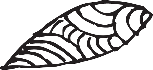 Exclusive Interview With Writer Sabine Konrath - Exclusive Interview With Writer Sabine Konrath (536x247)