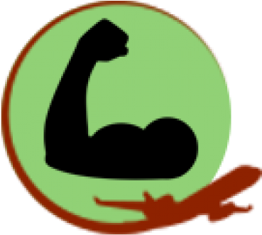 Flight Simulators, Model Planes, Rc Aircraft And Helicopters, - Crescent (370x370)