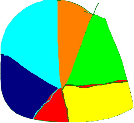 Pie Chart - Pie Chart (440x403)