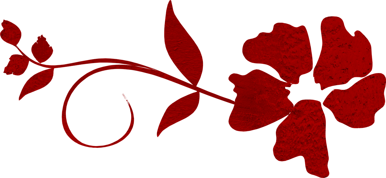 Red Polka Dot - ลาย ดอกไม้ สี แดง (1280x590)