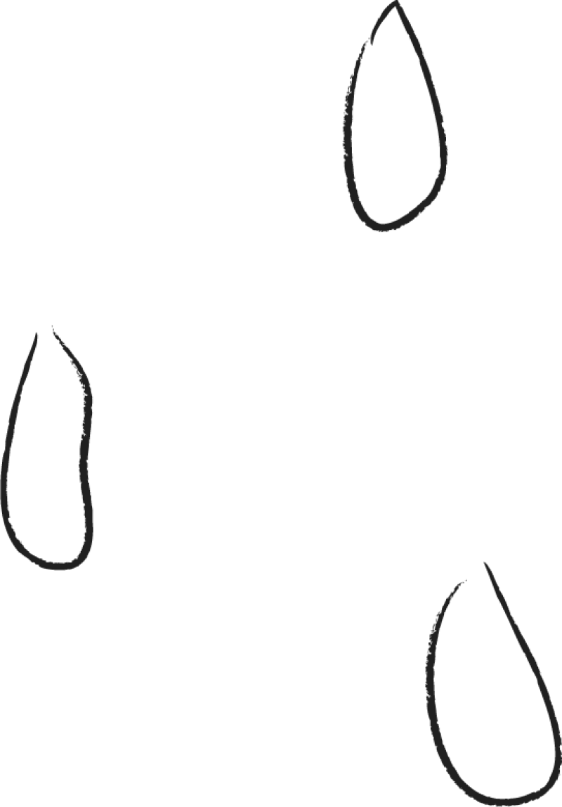 Cream Blushes Are Perfect For Women With Dry Skin - Sketch (800x1148)