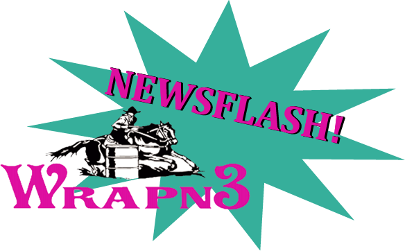 Texas Futurities Paid Out Over $200k In Futurity Horse - Illustration (584x362)