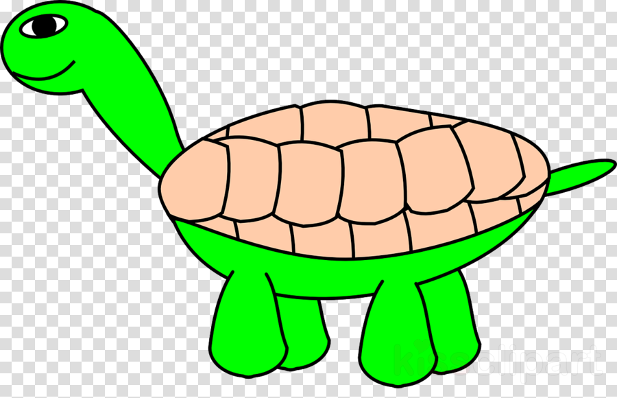 Cartoon Turtle Clipart Tortoise Turtle Reptile - Diwali Diya Png File (900x580)