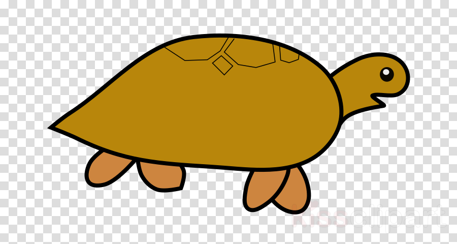 Tortoise Clipart Tortoise Turtle Reptile - Music Notes (900x480)