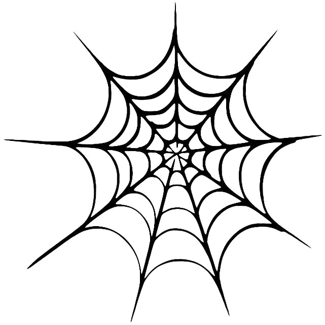 Spider Web Png Halloween Spider Web Transparent Image - Spider Net Vector Png (666x691)