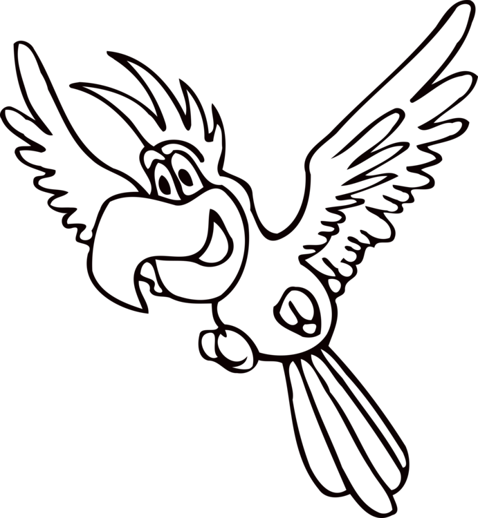 All Photo Png Clipart - Papagaio Para Colorir (691x750)