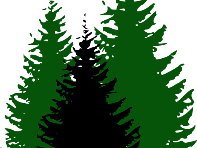 Wood Clipart 3 Pine Tree - Pine Trees Clip Art Free (640x480)