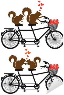 Squirrels In Love On Bicycle, Vector Sticker • Pixers® - Wedding Tandem Bike Clipart (400x400)