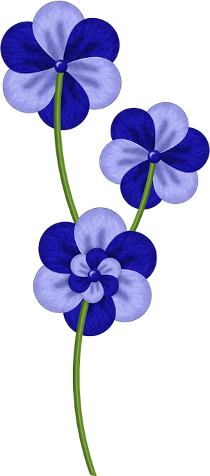 Clip Art - Cooktown Orchid (302x684)