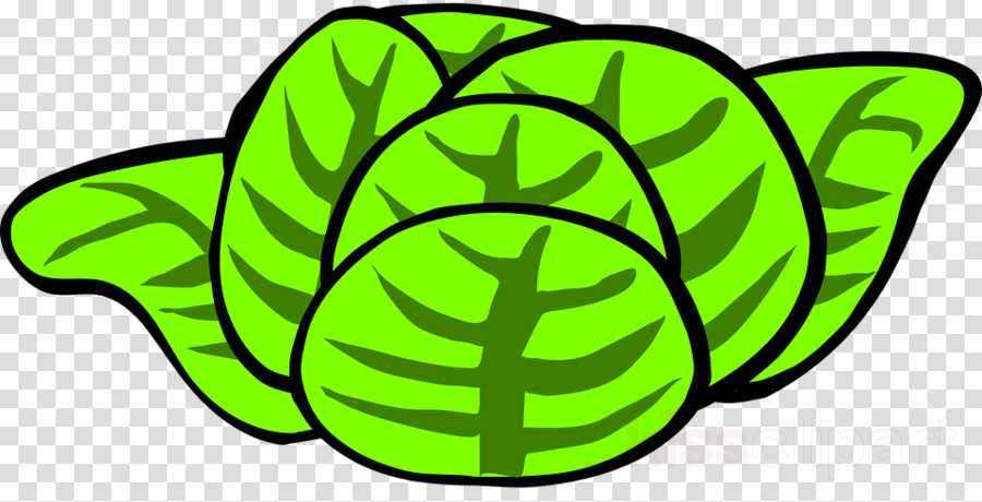 Caesar Salad Clip Art (900x460)