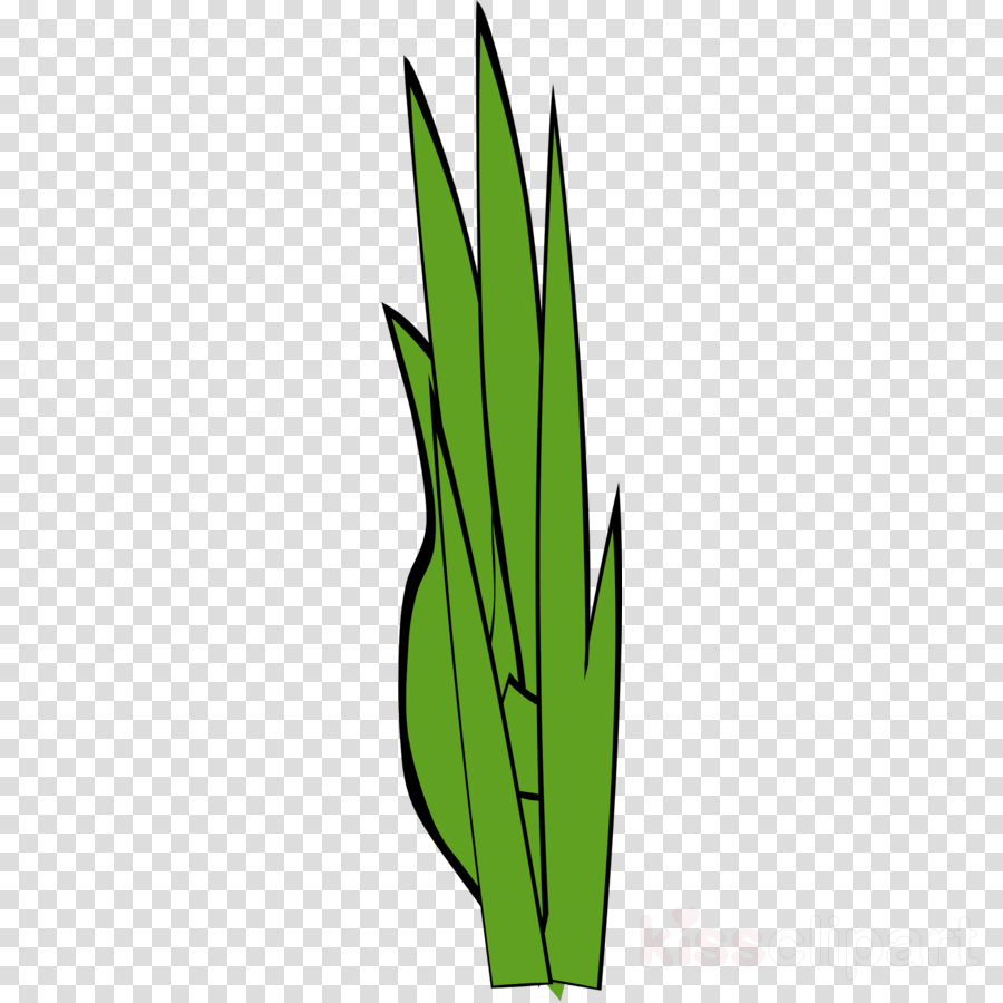 Tori Vega From Victorious (900x900)