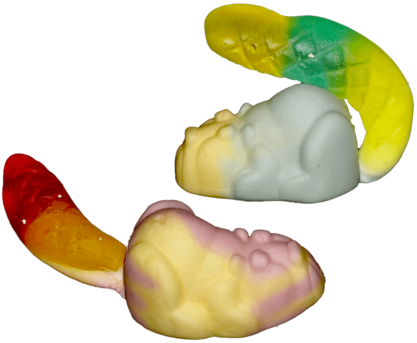 Free Png Download Wikimedia Commons Png Images Background - Cashew (850x699)