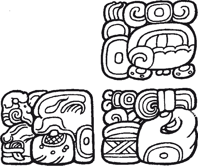 Drinking Yutal Sak Sa' Chih Mentioned On Copan Altar - Drawing (648x544)