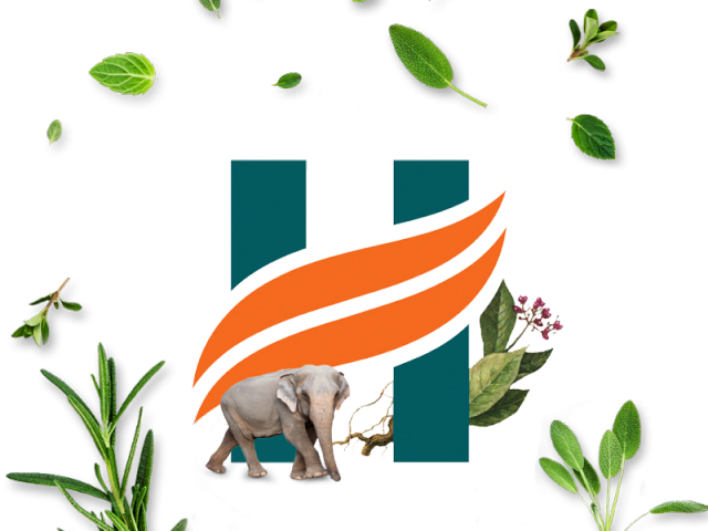 Himalaya Clipart Herbal Product - Himalaya Herbals (640x480)