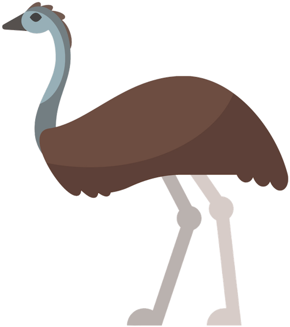Australian Animals Clipart Echidna (600x689)