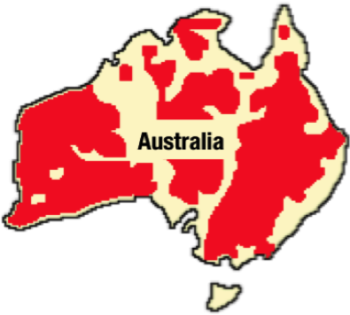 Animal Planet - Emu - Animal Planet - Emu (450x396)