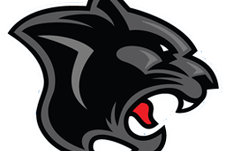 Black Face Logo K Pictures Full Hq - Panther Png (450x300)