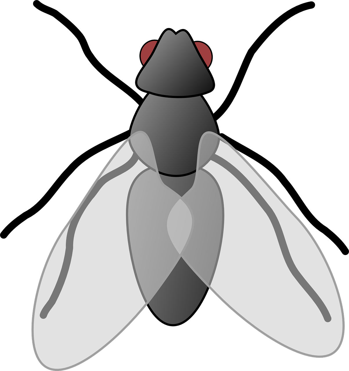 Fly Clipart Bug - Fly Clip Art (1202x1280)