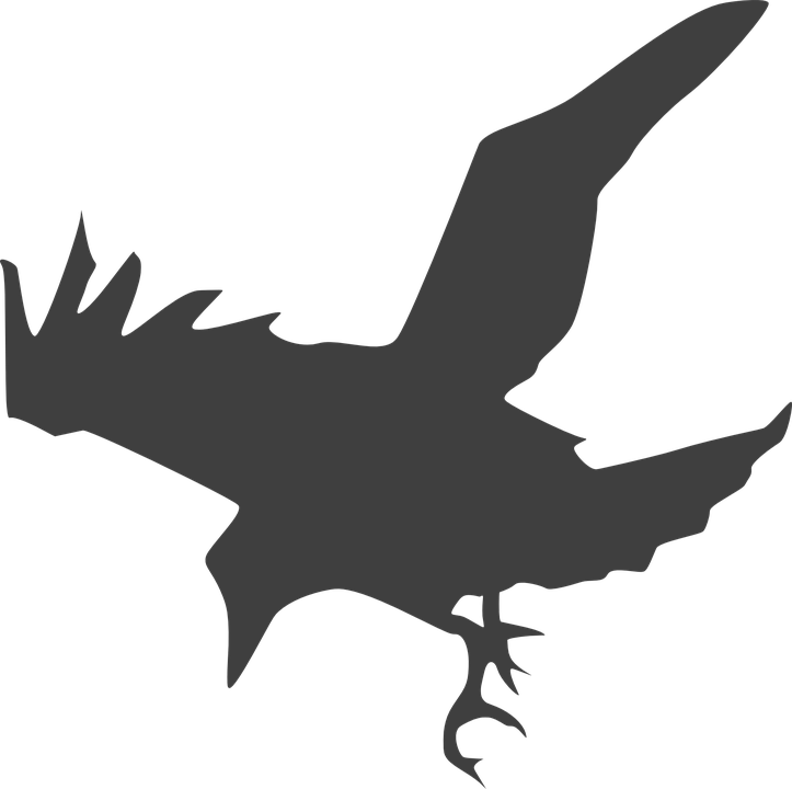 Crow Bird Black Fly Land Silhouette Grey - Raven Silhouette (723x720)