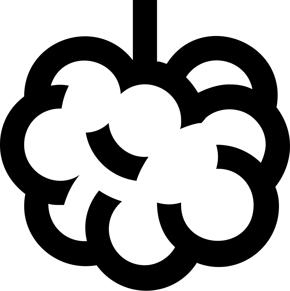 Blackberries Comments - Berry (980x985)