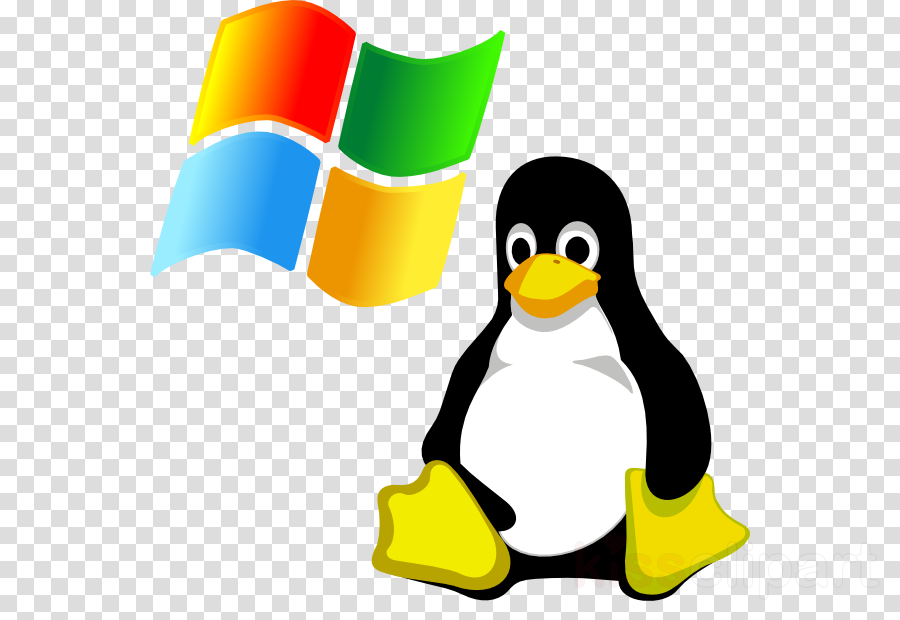 Pinguino Windows Png Clipart Microsoft Corporation - Windows 10 And Linux (900x620)