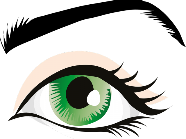 Vip South Beach Pictures Of Rosa Parks Getting Married - Eye With Eyebrow Clipart (640x480)