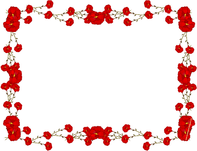 Carnation Clipart Border - Red Flower Frame Png (640x480)