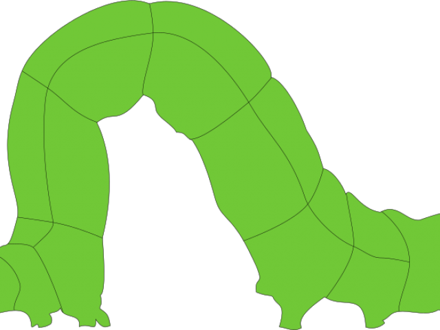 Inchworm Clipart Clip Art - Caterpillar (640x480)