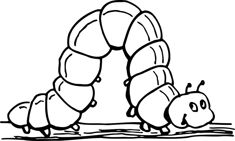 Caterpillar Clipart Ulat Buku - Inchworm Clipart Black And White (960x577)