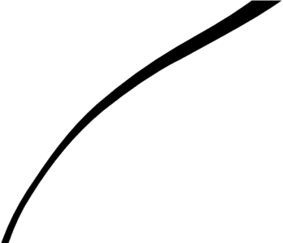 Curly Clipart Lines - Curly Clipart Lines (640x480)