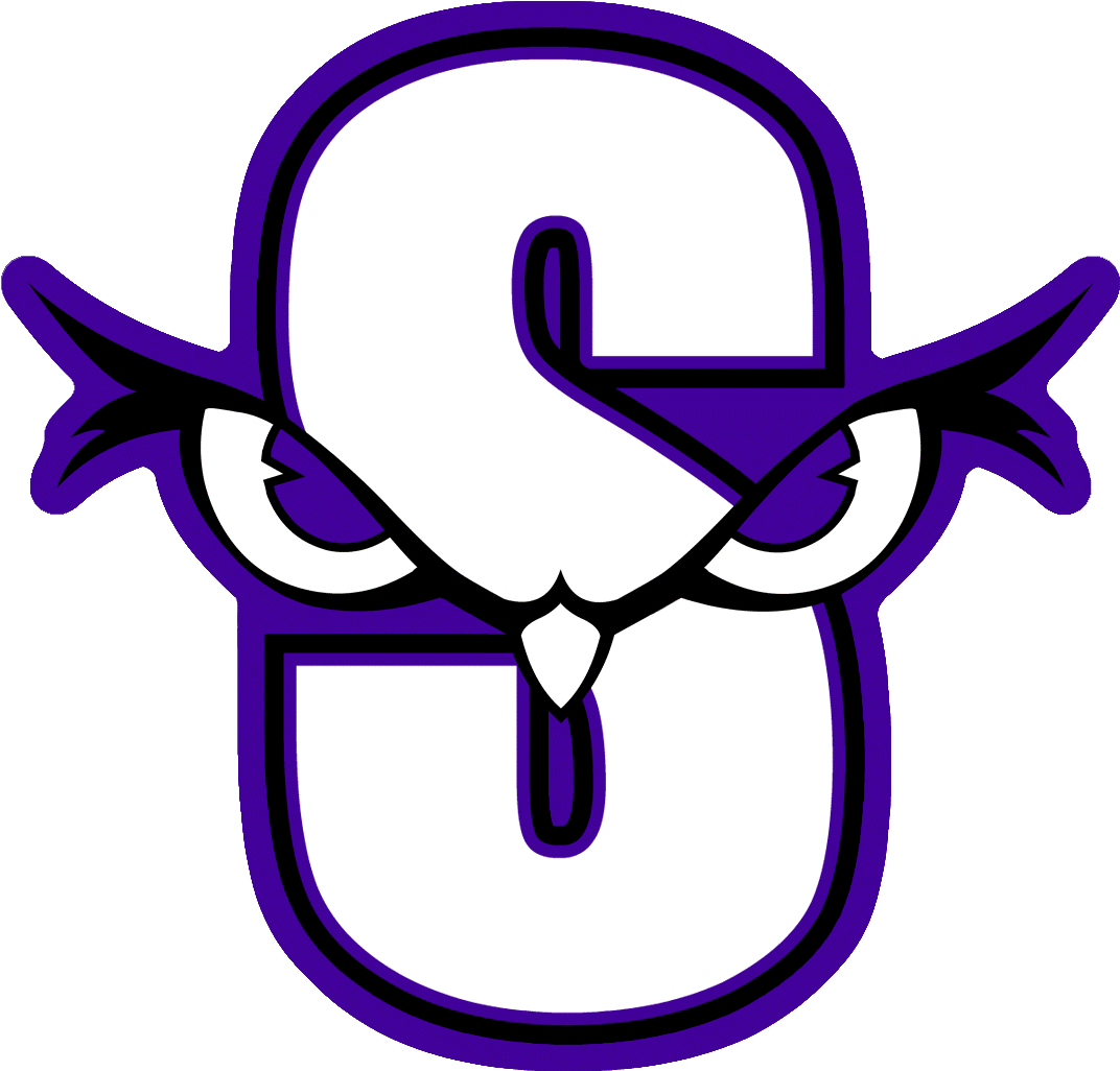Morning Clipart New Beginning - Seymour High School Owls (1200x1200)