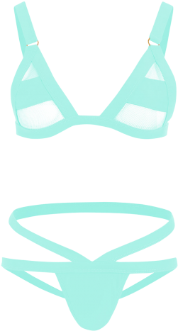Light Green L Sheer Banded Mesh Panel Bathing Suit - Lingerie Top (360x480)