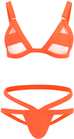 Bathing Suit Clipart 82898 - Lingerie Top (360x480)