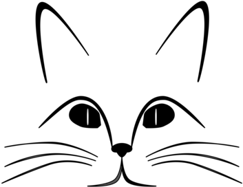 Cat Felidae Drawing Whiskers Face - Cat Face Clipart Black And White (354x340)